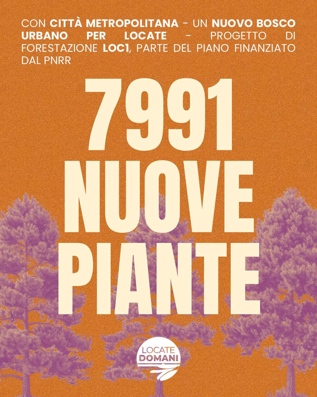 7991 NUOVE PIANTE